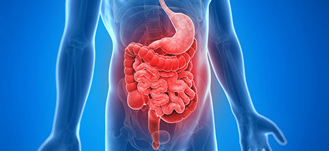 Colonoscopia pode prevenir o câncer de intestino